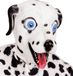 Widmann Cartoony Masker, Dalmatier