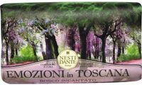 Nesti Dante Zeep Emozioni Enchanting Forest 250gr