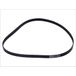 Continental Contitech 6PK1495 V-ribband