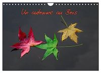 Un Calvendo Un automne au Bois (Calendrier mural 2027 DIN A4 vertical), CALVENDO calendrier mensuel