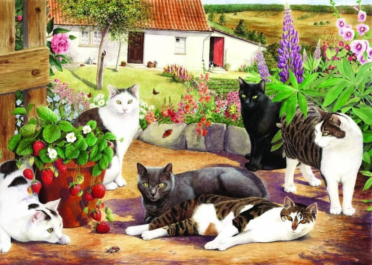 House Of Puzzles Cool Cats Puzzel 500 Stukjes XL