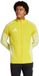adidas Tiro 25 Competition Training Sporttrui Heren Geel - Maat L
