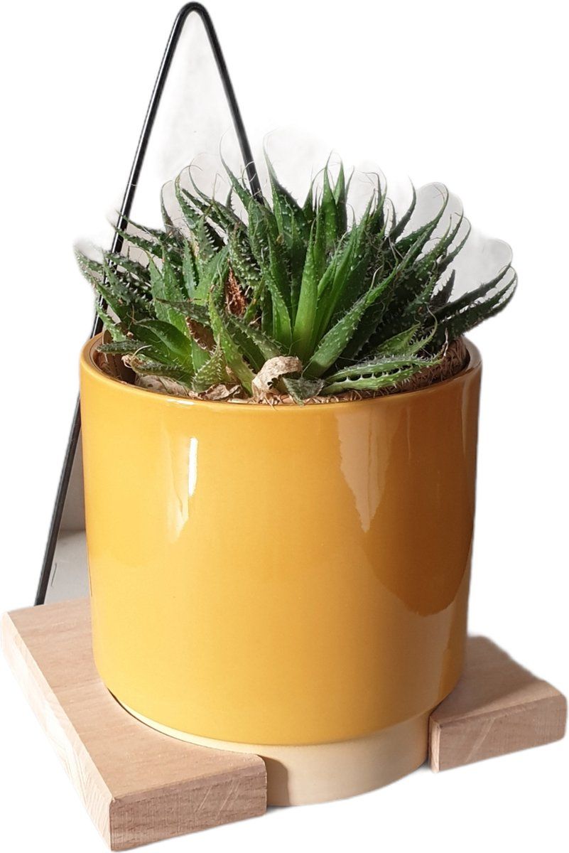 Gina Da Bloempot Keramiek Oker Geel 13x13cm met Muurhanger van Hout en Staal