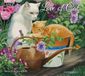 Lang Love of Cats Kalender 2024 Wandkalender