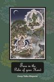 Tara in the palm of your hand: A guide to the practice of the twenty-one Taras according to the Mahasiddha Surya Gupta tradition