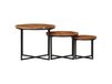 Maison Exclusive - Set de 3 tables d'appoint, acacia massif et fer