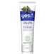 Yes To Blueberry Smoothing Daily Cleanser - 0815921015046