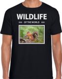 Bellatio Decorations Wildlife of the World Dieren foto t-shirt Eekhoorn Zwart Heren XXL
