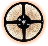 ABC-LED 5 meter warm wit LED strip - 120 Leds/m - 24V - 3528