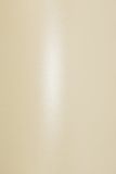 Netuno Aster Metallic Cream A4 300g 20 vellen