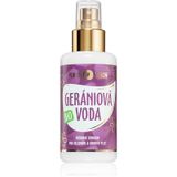 Purity Vision NATURE CARE Reinheit Vision Bio Detox Mask 40ml