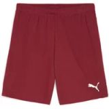 Puma TeamGoal Shorts 705752