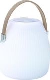 LUMISKY Lampe-enceinte Bluetooth MINI MAY, 23 cm, éclairage LED dimmable (blanc/multicolore), sans fil, intérieur/extérieur
