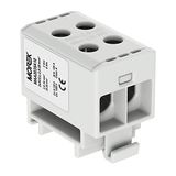 Distributieblok Morek Distribution block F. AL/CU Past 4 x 2,5-35 mm2 Grey 5-pole 1000 V AC/DC Insulated Pliers OTL 35-2 Ma2 035 a10 Morek 4030