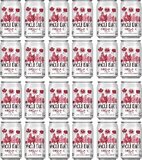 Whole Earth Sparkling Cola - Organic - 330ml (24-pack)
