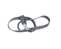CONTITECH 6PK1310 V-geribbelde riem.