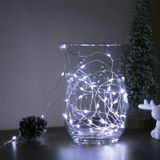 Delight Kerst LED-lichtsnoer - 5 m - 50 LED's - koud wit - 3 x AA 1 Stuks [58041C]