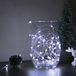 Delight Kerst LED-lichtsnoer - 5 m - 50 LED's - koud wit - 3 x AA 1 Stuks [58041C]