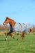 Bucas Smartex Turnout Extra Iron gate - 145/6.6