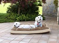 Sogni e Capricci Honden en Katten 4 Seizoenen Pillow, Duif Grijs, 78x58x12cm, Polyester, Grijs