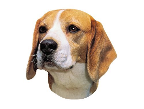 Nobby Sticker Beagle