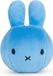 Bon Ton Toys Nijntje - Squish Ball Bleu - 9 cm