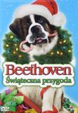 Filmostrada Sp. z o. o. Beethoven's Christmas Adventure [DVD]