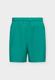 UNDER ARMOUR Sportbroek 'Vanish Wven 2.0' groen / zwart
