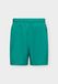 UNDER ARMOUR Sportbroek 'Vanish Wven 2.0' groen / zwart