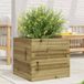 Maison Exclusive - Jardinière 50x50x45,5 cm, en pin imprégné