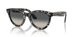 Ray-ban Rb 2241 Lunettes de soleil unisexe havane carrées grises 51mm