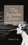 The Invisible Force: Know Your Magnetic Field