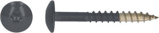 pgb-Europe PGB-FASTENERS HPL schroef Tx20 4,8x38 R7024 A4