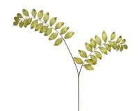 Decoris Tak 27x16x110 groen