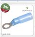 Quadrios 23C522 Ringkabelschoen Dwarsdoorsnede (max.): 2.5 mm² Schachtdiameter: 5.3 mm Deels geïsoleerd Blauw 50 stuk(s)