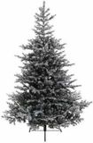 Everlands Kunst kerstboom - 1038 tips - groen met sneeuw - PVC - 150 cm