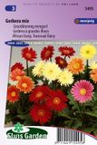 Sluis Garden Gerbera Grootbloemig Gemengd