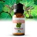 Zenful Patchouli olie - 100% Puur - Etherische Olie - Biologisch - Natuurlijk - Aromatherapie - 10 ml