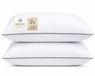 Princess Line Basic Hoofdkussen - Set van 2 - 60x70 cm