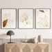 Lot de 3 affiches / posters triptyque - fleurs - 3 affiches - 50x70 cm (cadres non fournis) - bordure blanche