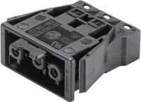 Wieland pièce de châssis 3p femelle 1.5–2.5mm avec connecteur à ressort – noir - par 100 pièces (GST18I3F B2 REV SW)