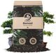 Sybotanica Mélange pour bonsaïs - 5L - Terreau - Sans tourbe