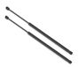 Stabilus Gasveer SET 2x 018756 LIFT-O-MAT® gasveer met 615 Newton o.a. voor Audi TT/TT Quattro