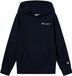 Champion Icons Small Logo Hoodie Junior - Maat L