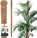 KOTARBAU® Kokosstok, Plantenstok, ⌀ 3,2 x 120 cm, Kokosstaaf, Klimhulp Monstera, Bruin, Kokosvezel, Klimhulp, Plantenstaaf, Kokosstok voor Monstera, Kokosstaaf voor Klimplanten