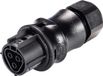 GESIS Wieland RST20I3S B1 ZR2 SW Connector - Wit