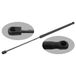 febi bilstein 29274 gasveer voor achterklep, 1 stuk | Compatibel met: VW NEW BEETLE