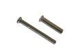 Mauer Bout met huls zelfborgend M4x38mm (100 pièces)