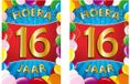 Bellatio Decorations Verjaardag deurposter - 2x - 16 jaar - multi - 59 x 84 cm