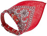 Nobby Halsband met doek, rood L: 35 cm, 1 stuk